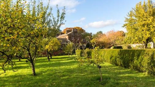 Orchards in the foreground with a house in the distance